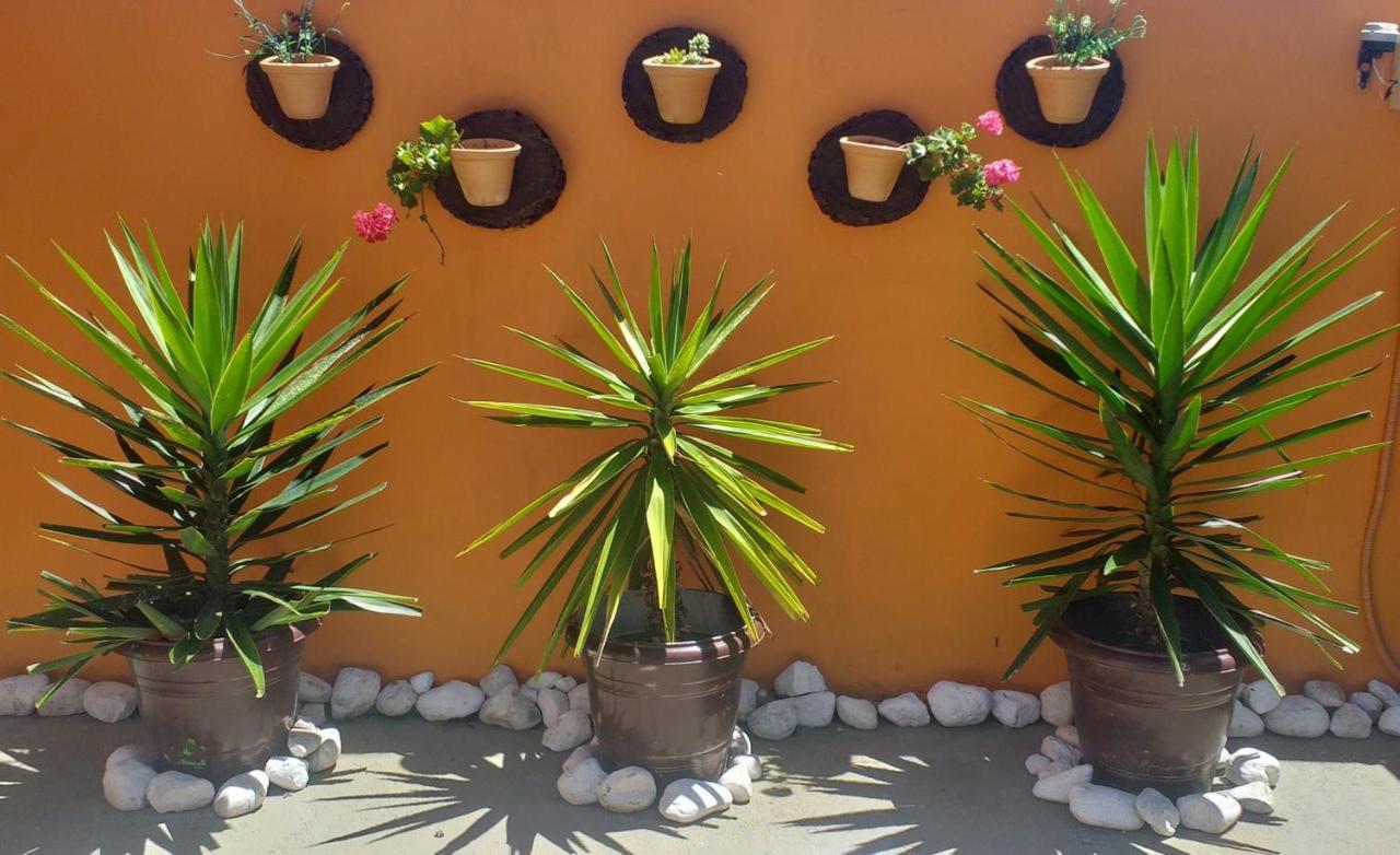 Appartement Residencial Maria Antonia à Governador Celso Ramos Extérieur photo